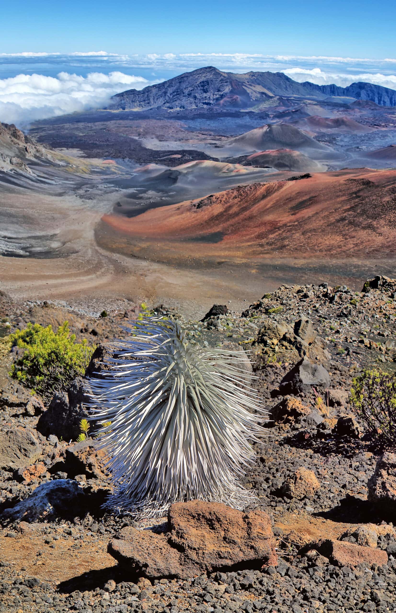 Top Of Haleakala