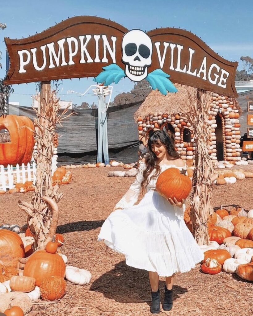 Visit A Pumpkin Patch