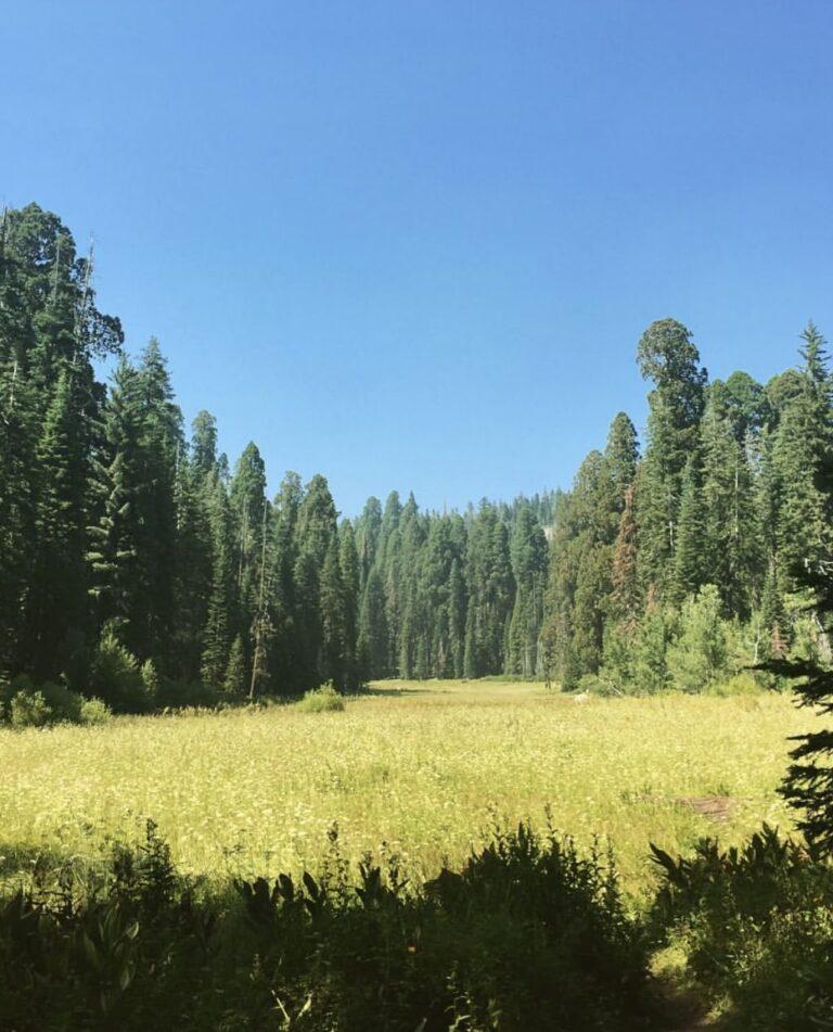 Three Rivers To Sequoia National Park 17 Things to Do Purfect Sunday