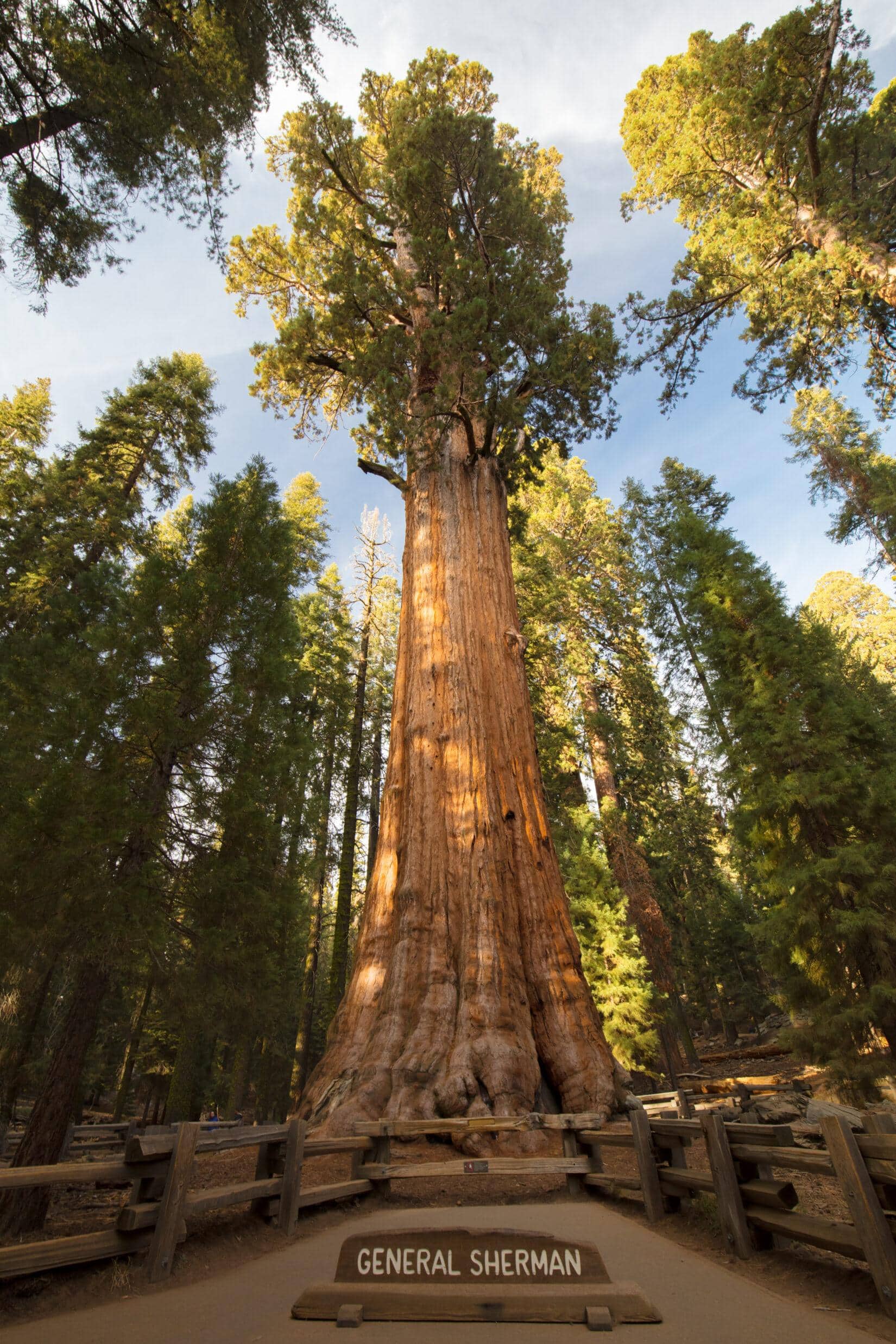 Three Rivers To Sequoia National Park: 17 Things to Do - Purfect Sunday